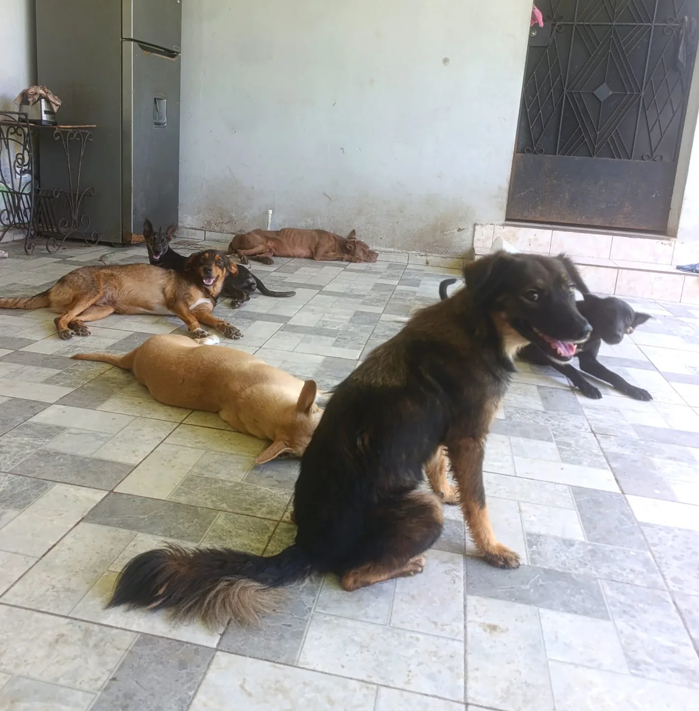 Jornada de vacunación de Paraíso 503