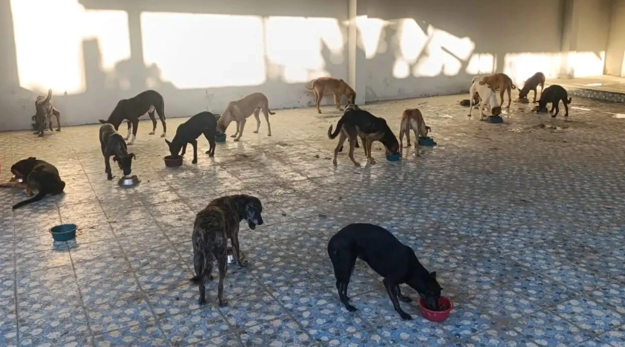 Visita solidaria al Hogar Paraíso