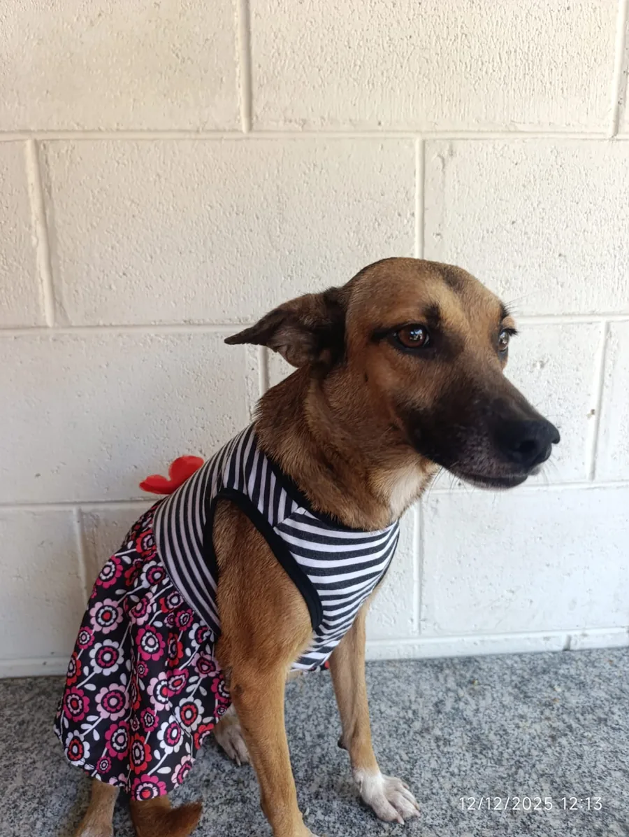 Muñeca, fotografía 1