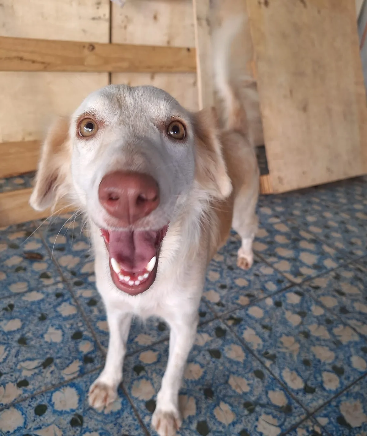 Nina, fotografía 2