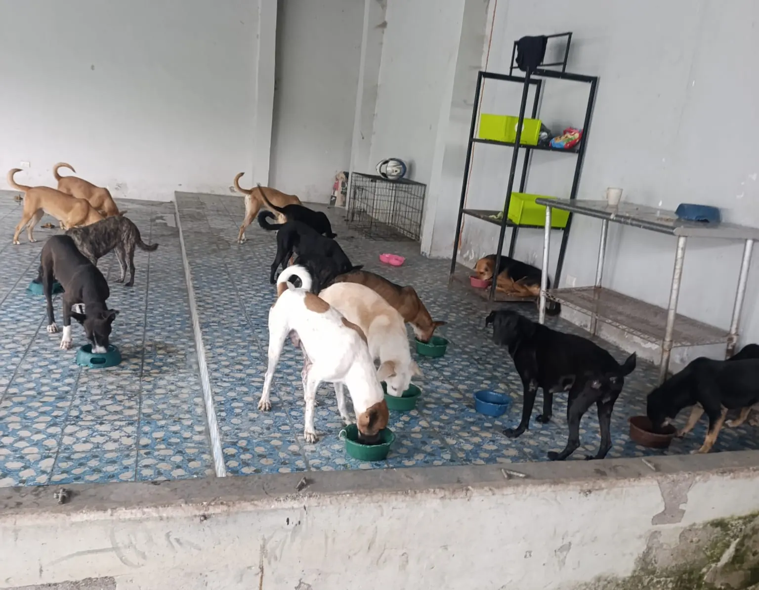 Trabajo de Hogar Paraíso