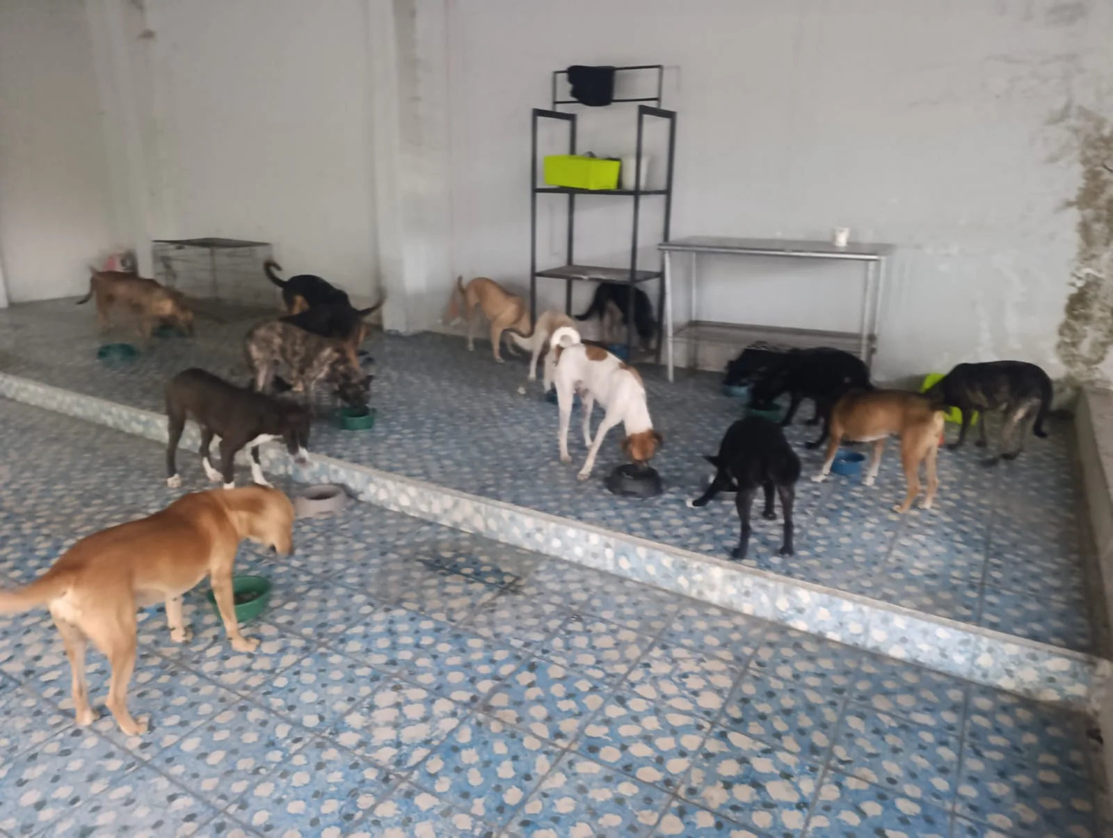 Trabajo del programa Hogar Paraíso de Paraíso 503