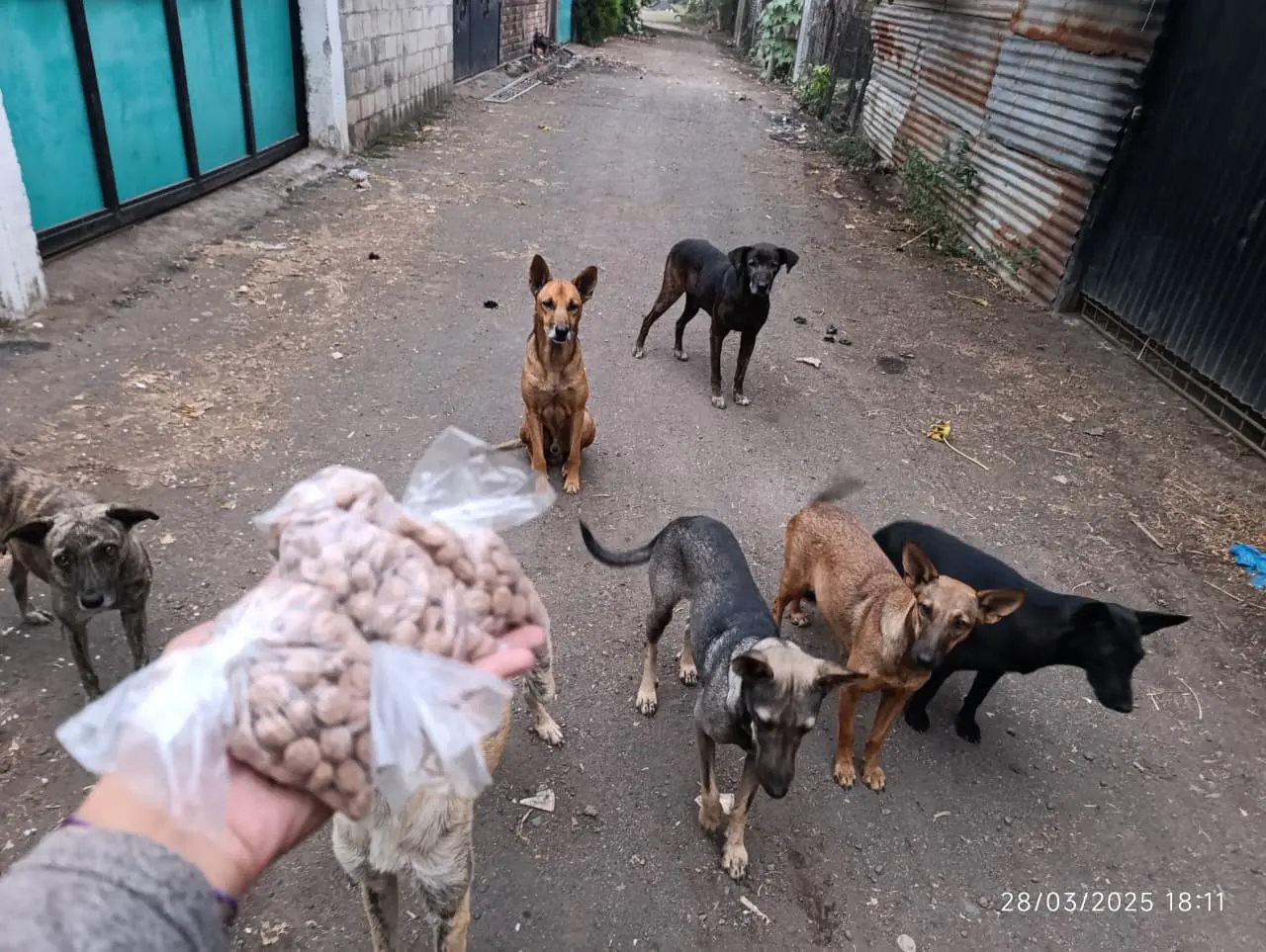 Trabajo de Ruta de Alimentación