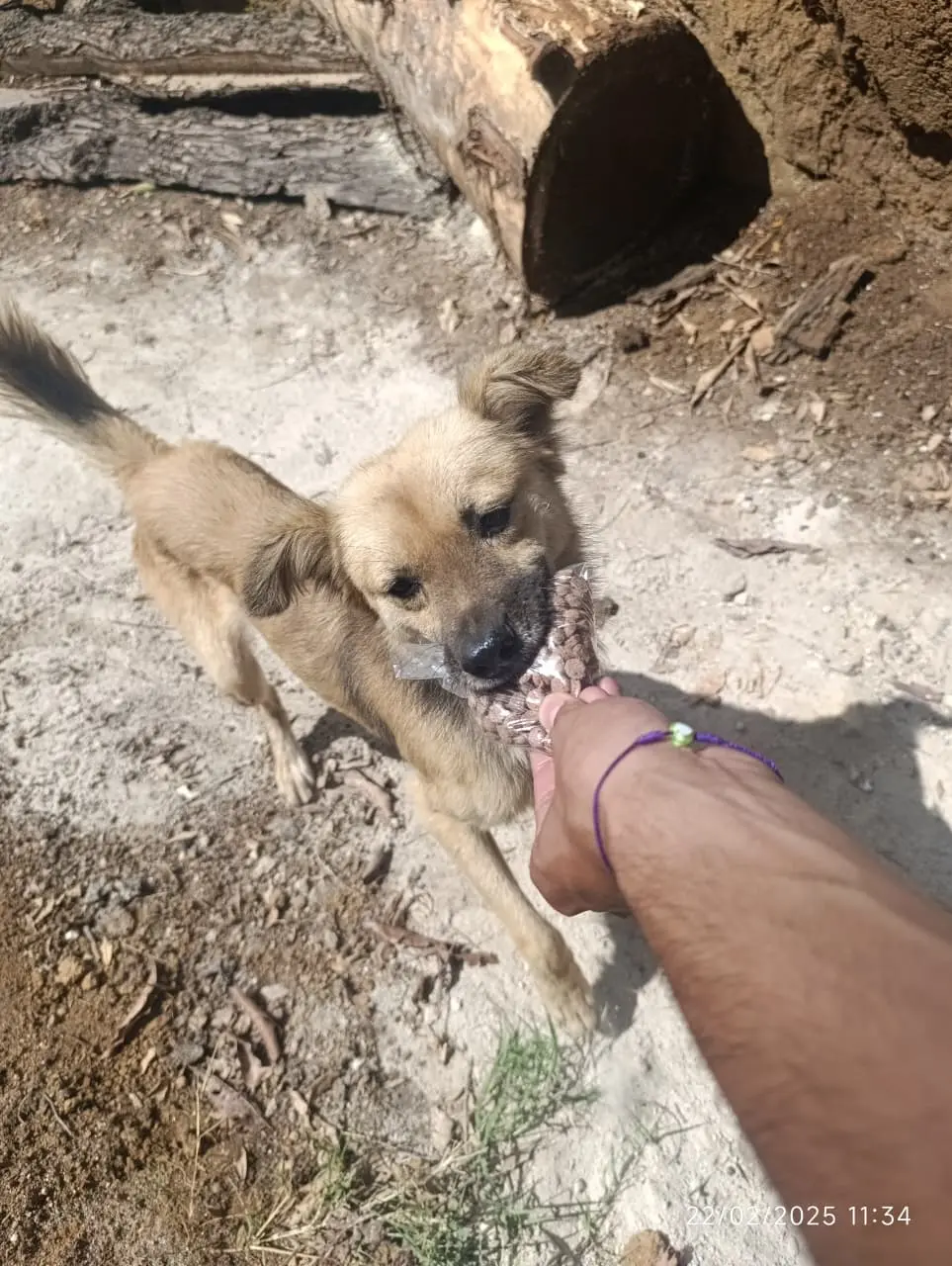 Animalitos encontrados durante la Ruta de Alimentación