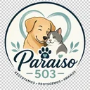 Paraíso 503