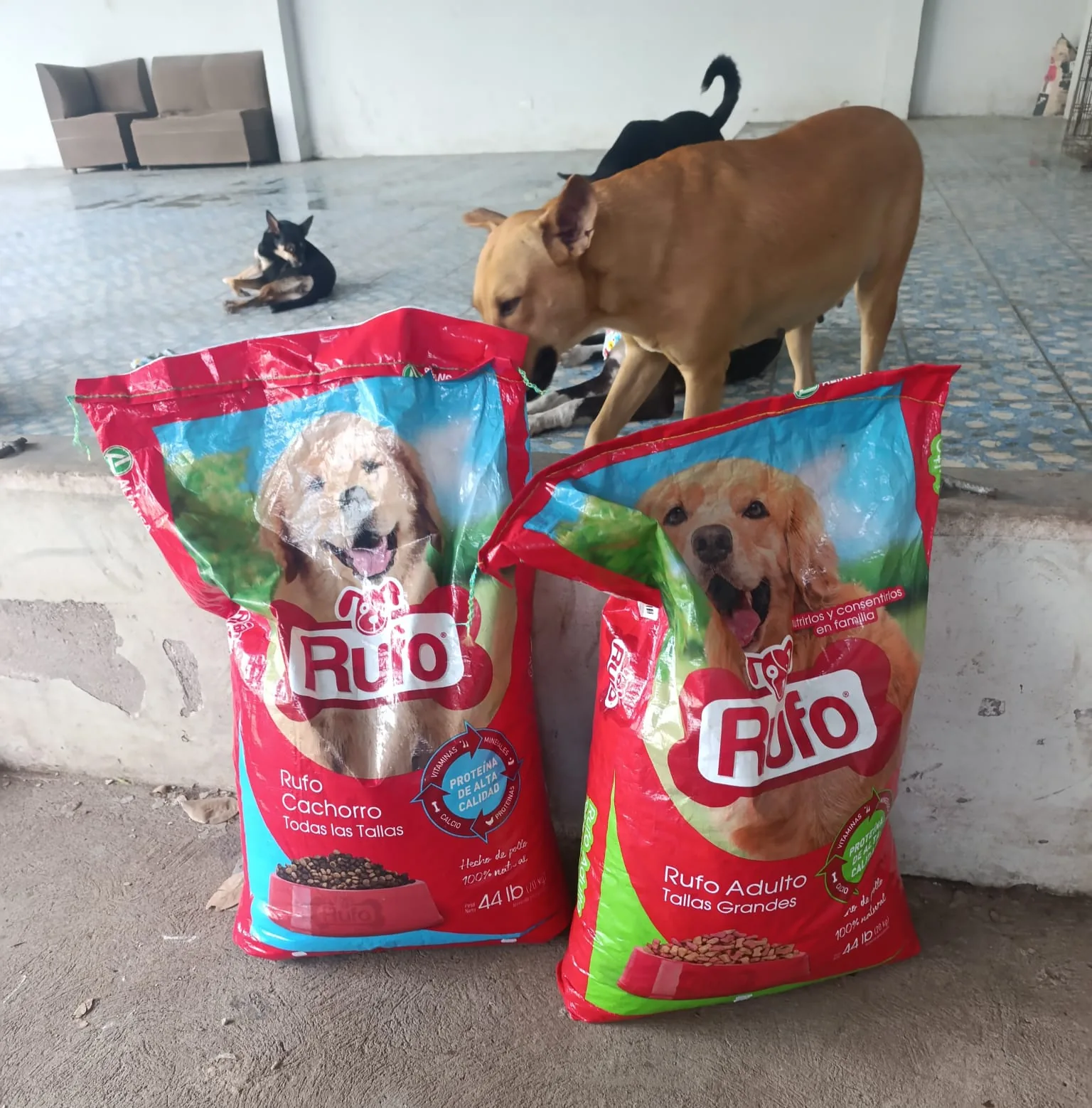 Sacos de alimento para perros utilizados en Paraíso 503