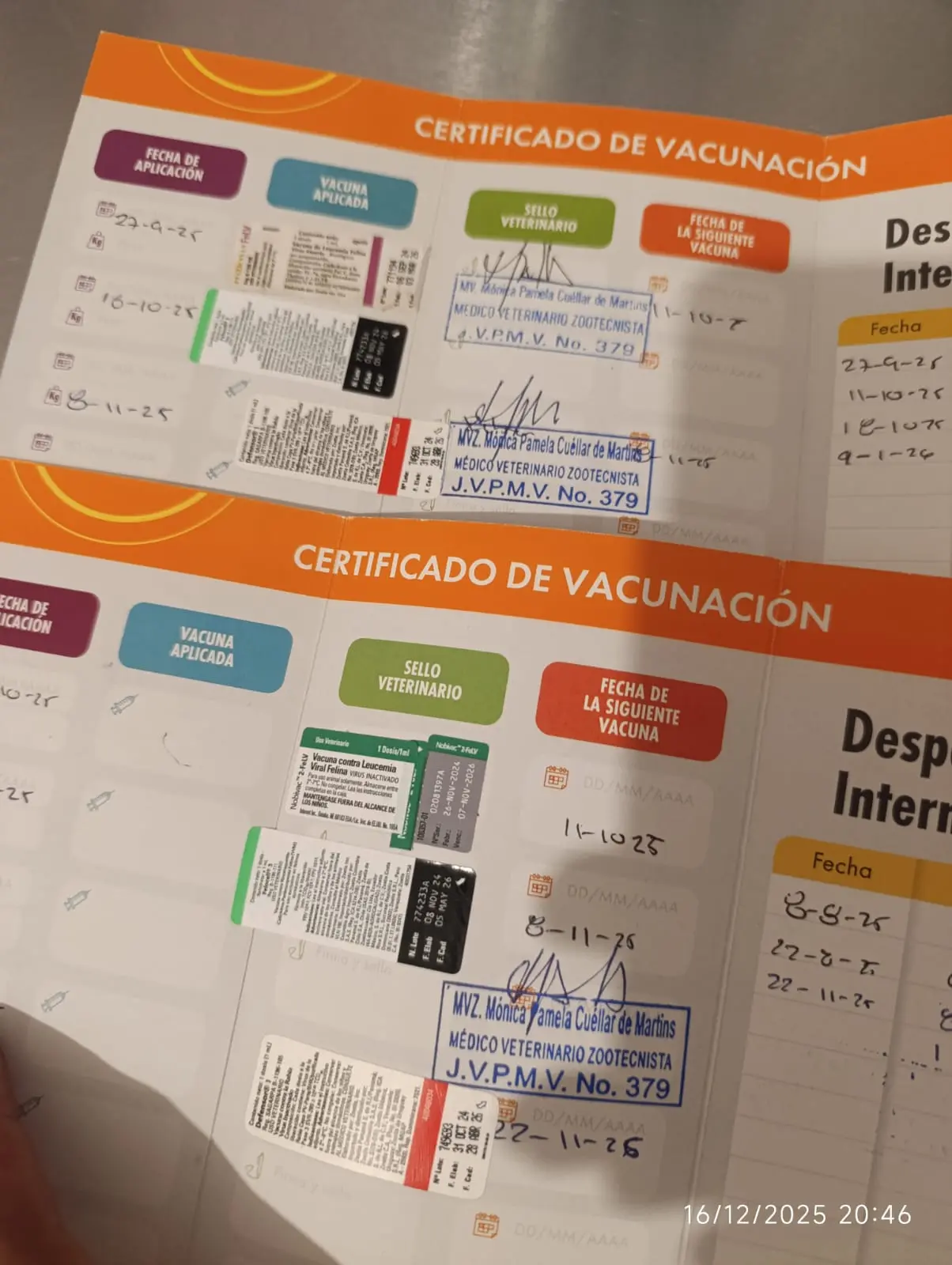 Registro del trabajo y recursos utilizados por Paraíso 503
