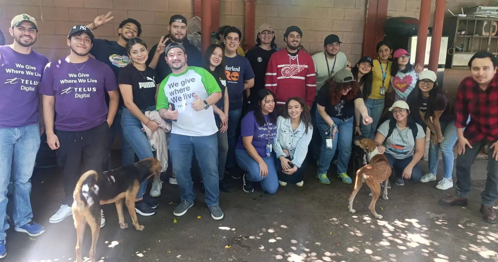 Visita solidaria al proyecto de rescate animal Paraíso 503