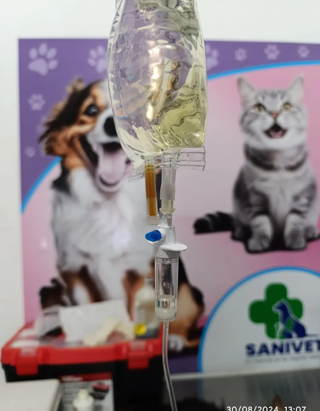 Atención Veterinaria en acción de Paraíso 503